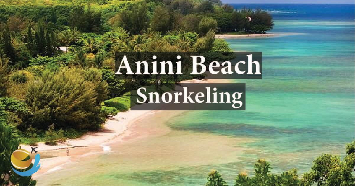 Anini Beach Snorkeling