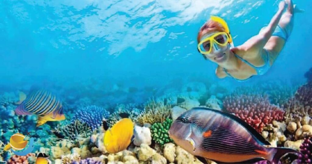 Anini Beach Snorkeling