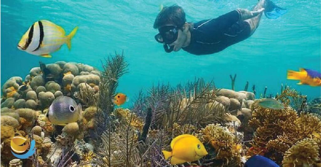 Anini Beach Snorkeling