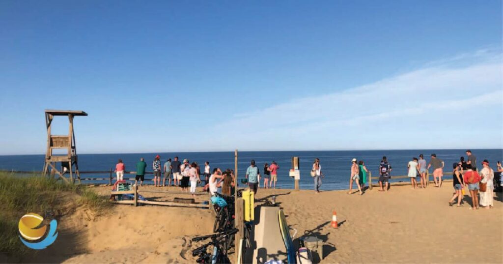 Cahoon Hollow Beach