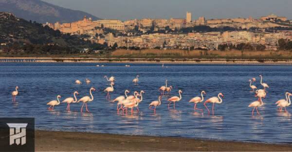 How to get to Sardinia