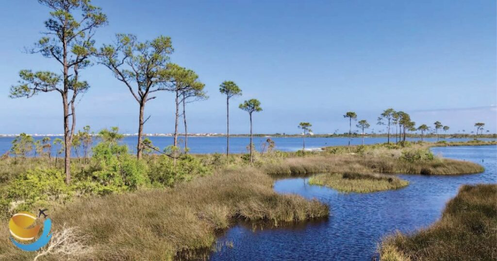 Mobile Alabama Beaches