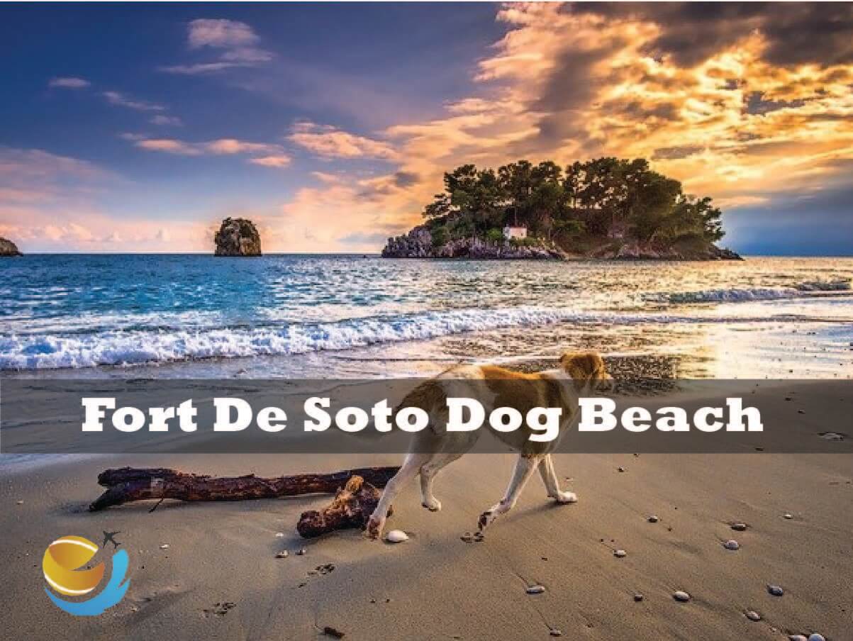 Fort De Soto Dog Beach