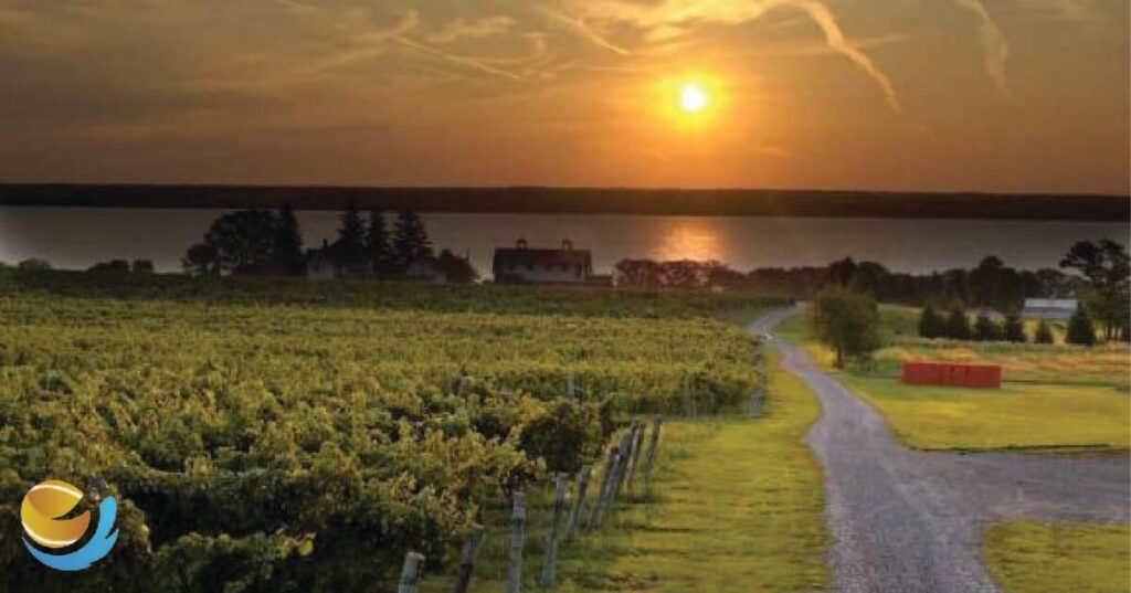 Best Seneca Lake Wineries