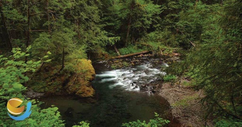 Hot Springs Near Portland